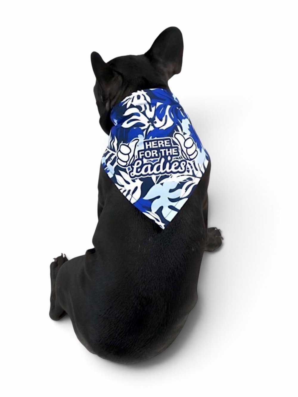 Vibrant Life Aloha Ladies Dog Tank Top & Bows